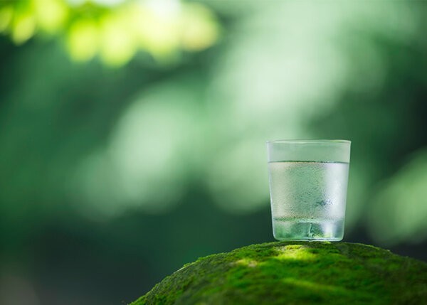 glass of water on a mossy rock with blurred greenery background